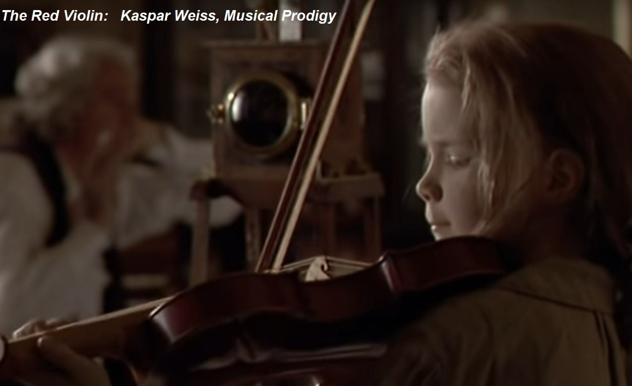 The Red Violin DVD Movie Etsy