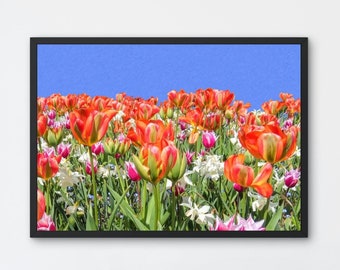 Art Print "Spring Tulips": Colourful Floral Decor, Printable Living Room Wall Art (Digital Download)