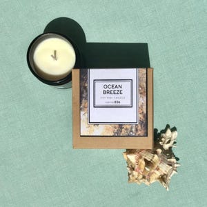Ocean Breeze Soy Candle, Clean Cotton Aromatherapy Candle, Natural Essential Oil Candle, Hand Poured Gift