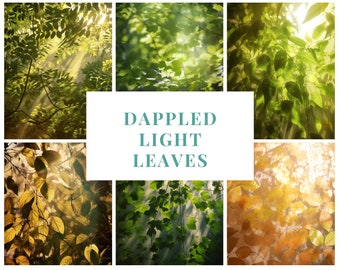 Dappled Light Leaves Backgrounds 23 Pack | Beautiful Illustration Designs of Leaves, Nature, Dappled Lights | Nature, Scenery, Prints, PNG