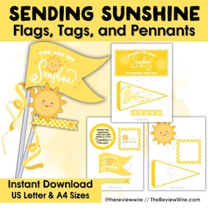 Sending Sunshine Gift Tags, Printable Gift Tags, Teacher Appreciation, Sunshine Gift Box, Kindness Printable, Get Well Soon, Plags, Pennants