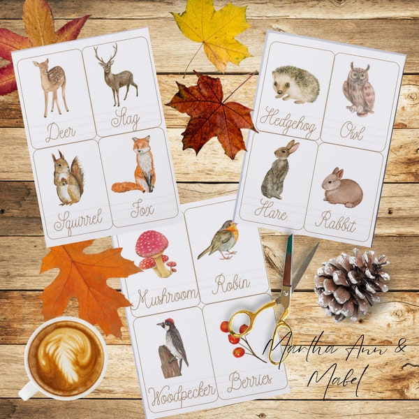 Early Years 24 Woodland Animal Cards +free nature hunt print- DIGITAL DOWNLOADS