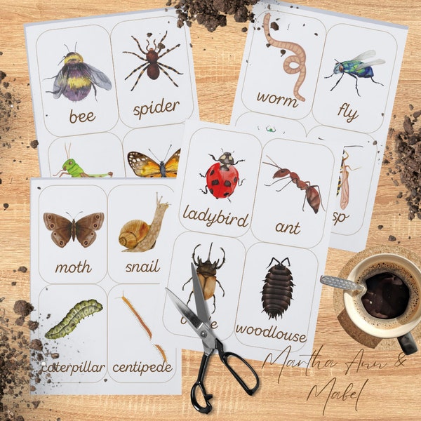 Early Years Resources Bugs & Mini beasts Flashcards EYFS OFSTED MONTESSORI