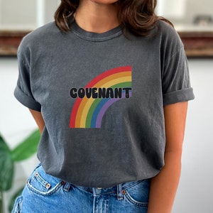 Gods Covenant, Rainbow shirt,  Christian, Faith, Jesus, Comfort Colors, Genesis, Jesus, Take back the rainbow, Gods promise, bible shirt