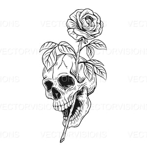Skull Head and Rose Svg, Skull Svg, rose Svg, Skull Love Svg, Vector Cut file for Cricut,, Silhouette,Pdf Png Eps Dxf, Decal,Sticker,Stencil