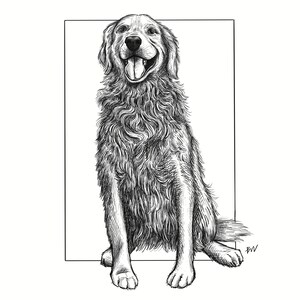 Custom Digital Hand Drawn Pet Portraits