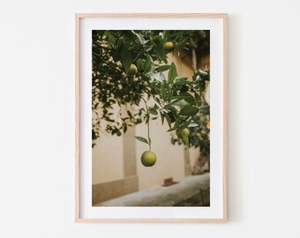 May include: A framed photograph of a green citrus fruit hanging from a tree branch. The fruit is in focus, while the background is blurred. The tree is in a courtyard with a yellow wall.