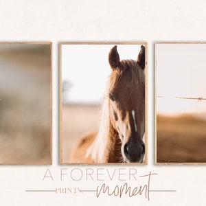 country Digital Prints - Set 3