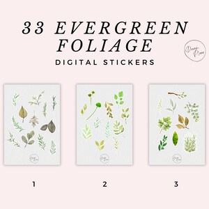 33 Evergreen Foliage PRE-CROPPED PNG Plant Digital Stickers for iPad Digital Planner Stickers | Calendar Stickers | Goodnotes Stickers
