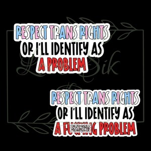 Respect Trans Rights Sticker, Social Justice, Pride, Human Rights Sticker, Inclusive Decal, Waterbottle, Tumbler, Kindle Sticker