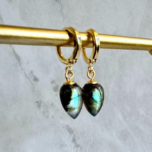 Druppeloorbellen labradoriet: 14K gold filled bengeloorbellen