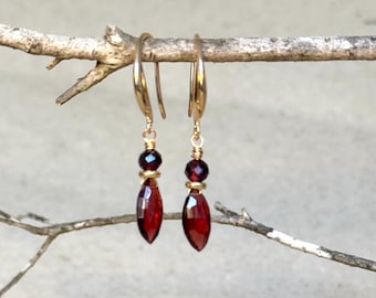 May include: A pair of gold-colored earrings with a hook design. Each earring features a small, dark red bead, a gold-colored accent, and a larger, faceted, teardrop-shaped, deep red gemstone. The earrings are hanging from a small branch.