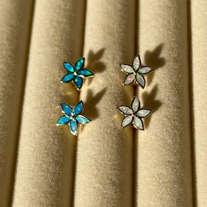 Op de afbeelding: Vier bloemvormige oorstekers. Twee paar oorbellen hebben een gouden zetting met een bloemmotief met vijf bloemblaadjes. Eén paar heeft blauwgroene iriserende bloemblaadjes en het andere paar heeft witte en iriserende bloemblaadjes.