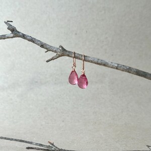 May include: A pair of pink teardrop earrings with rose gold hooks. The earrings are suspended from a small, brown branch against a neutral background. The earrings are a vibrant pink color and appear to be made of a translucent material.