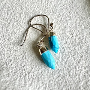 Sterling Silver Turquoise Spike Earrings: Teardrop Dangle Earrings
