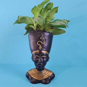 May include: Black planter shaped like a pharaoh's head with a gold snake design and a green plant growing out of the top.