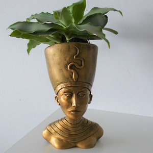May include: Gold planter shaped like a bust of an Egyptian pharaoh with a snake design on the headdress. A green plant is growing out of the top of the planter.
