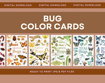Tarjetas de colores de insectos, Actividad de naturaleza con arcoíris, Actividad de rincón relajante, Movimiento infantil, Tarjetas didácticas Montessori para educación en casa, Juego de acción, Unidad de insectos