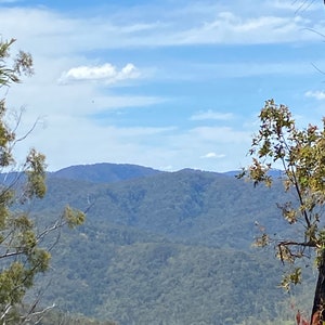 Australian bush original photograph stock photo