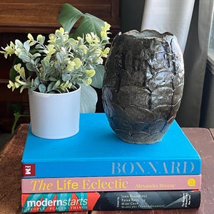 Pode incluir: Uma pilha de três livros sobre uma mesa de madeira. O livro de cima é azul e diz "BONNARD" em letras brancas. O livro do meio é rosa e diz "The Life Eclectic" em letras brancas. O livro de baixo é vermelho e diz "modernstarts PEOPLE PLACES THINGS" em letras brancas.