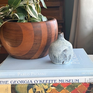 Puede incluir: Un cuenco de madera con diseño a rayas contiene una planta verde y blanca. Un pequeño jarrón redondo gris con goteo blanco se encuentra sobre una pila de libros, incluido uno titulado "Pablo Picasso".