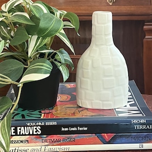 May include: A white ceramic vase with a textured, square pattern rests on a stack of art books. A potted plant with green and white leaves is to the left. The books are titled "E Fauves", "Matisse and Fauvism".
