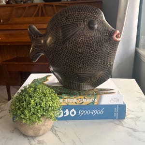 May include: A dark brown ceramic fish sculpture with etched scale patterns and a small, reddish-orange mouth. The sculpture rests on two stacked books, one titled Jerome Ackerman and the other labeled 1900-1906, next to a small potted green plant.