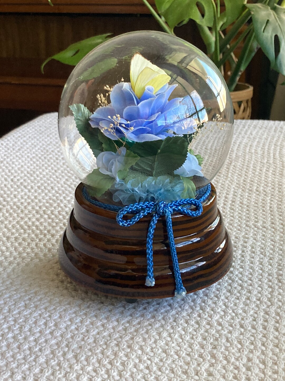 Light up Music Box With Real Butterfly Etsy