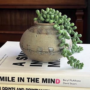 Pode incluir: Um pequeno vaso redondo de cerâmica bege com superfície texturizada e design gravado, contendo uma planta suculenta verde pendurada. O vaso está em cima de uma pilha de livros, incluindo "A Smile in the Mind".