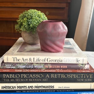 May include: A stack of books with titles including "The Art & Life of Georgia Keeffe" and "Pablo Picasso: A Retrospective" supports a small, textured, maroon-colored vase and a small potted plant. The books are stacked on a white marble surface.
