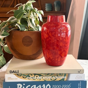 May include: A bright red ceramic vase with a mottled texture sits atop a stack of three books. The books are titled Dalí, Evelyn and Jerome Ackerman, and Picasso 1900-1906. A wooden bowl containing a green and white variegated plant is next to the vase.
