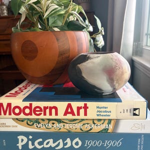 May include: A wooden bowl with a circular pattern containing a green and white plant, next to a small, rounded, multi-colored ceramic vessel. These items rest on a stack of three books titled Modern Art, Evelyn and Jerome Ackerman, and Picasso 1900-1906.