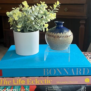 Op de afbeelding: Een stilleven met een witte potplant met groen-gele bladeren, een kleine blauw-bruine keramische vaas en een stapel boeken. Het bovenste boek is blauw en leest "BONNARD". De boeken liggen op een patroonkleed.