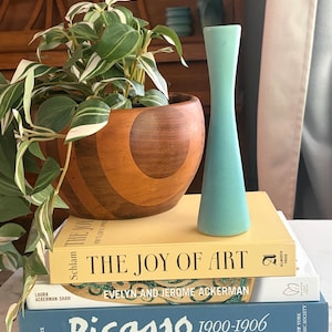 Może przedstawiać: Wysoki, smukły, jasnoniebieski wazon ceramiczny stoi na stosie trzech książek. Książki mają tytuły The Joy of Art, Evelyn and Jerome Ackerman oraz Picasso 1900-1906. Obok znajduje się roślina o nakrapianych zielono-białych liściach.