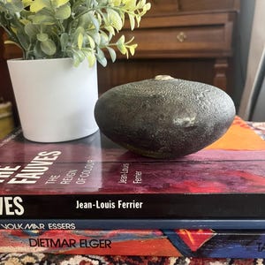 Puede incluir: Un objeto decorativo ovalado, oscuro y texturizado descansa sobre una pila de libros con títulos como "The Fauves" y "Jean-Louis Ferrier". Una pequeña maceta blanca con una planta verde está en el fondo.