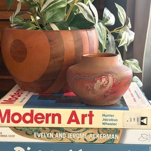 May include: A large segmented wooden bowl containing a green and white variegated plant, positioned next to a small, round, terracotta-colored ceramic vase with a marbled red and cream finish, all resting on a stack of three art books.