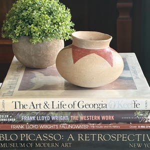 Puede incluir: Un pequeño jarrón de cerámica beige con un diseño geométrico rojo se encuentra sobre una pila de libros. A la izquierda del jarrón hay una pequeña planta verde redonda en una maceta beige. Los libros tienen títulos como "The Art & Life of Georgia O'Keeffe."