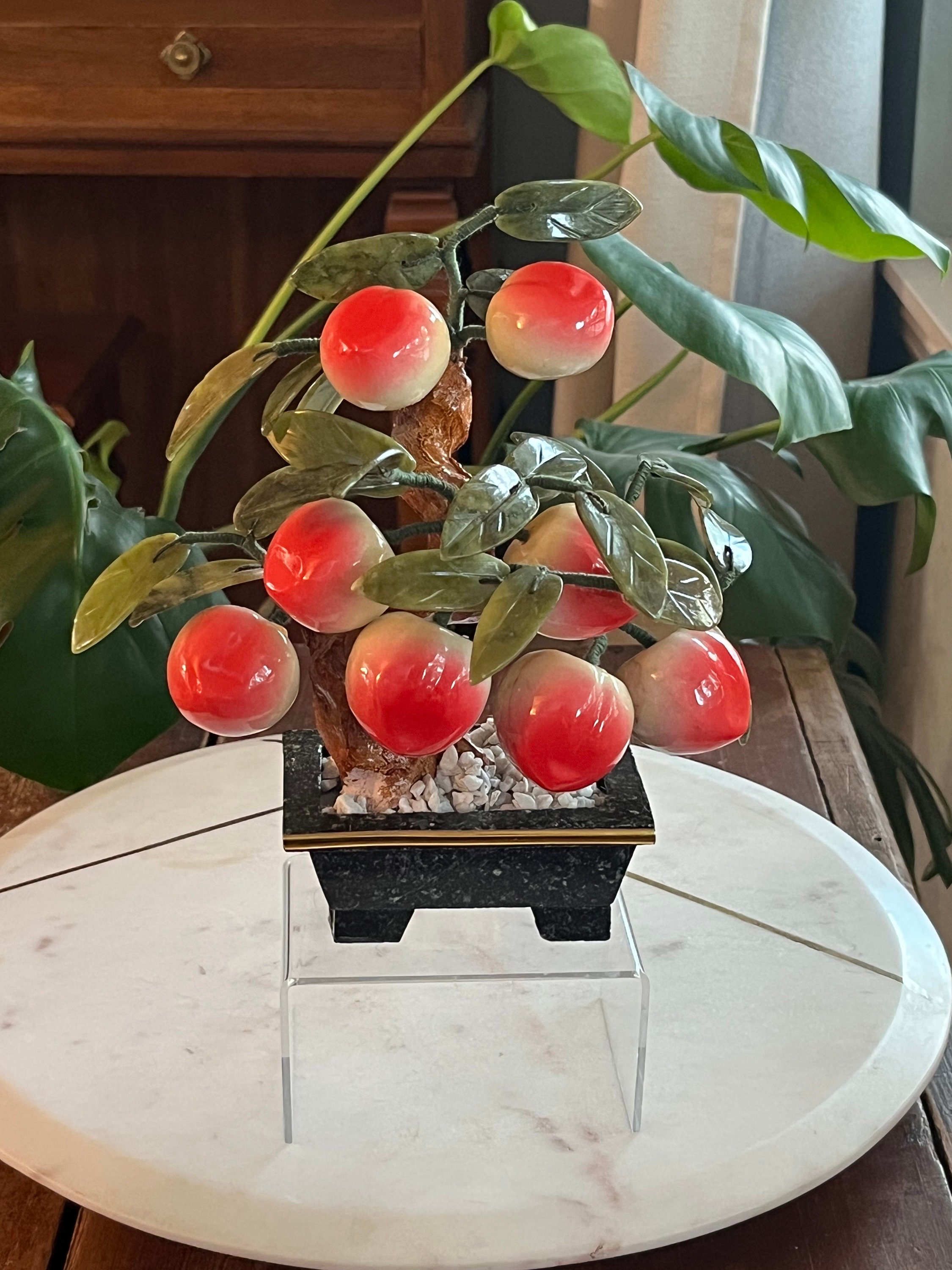 fir bonsai tree Bonsai Special