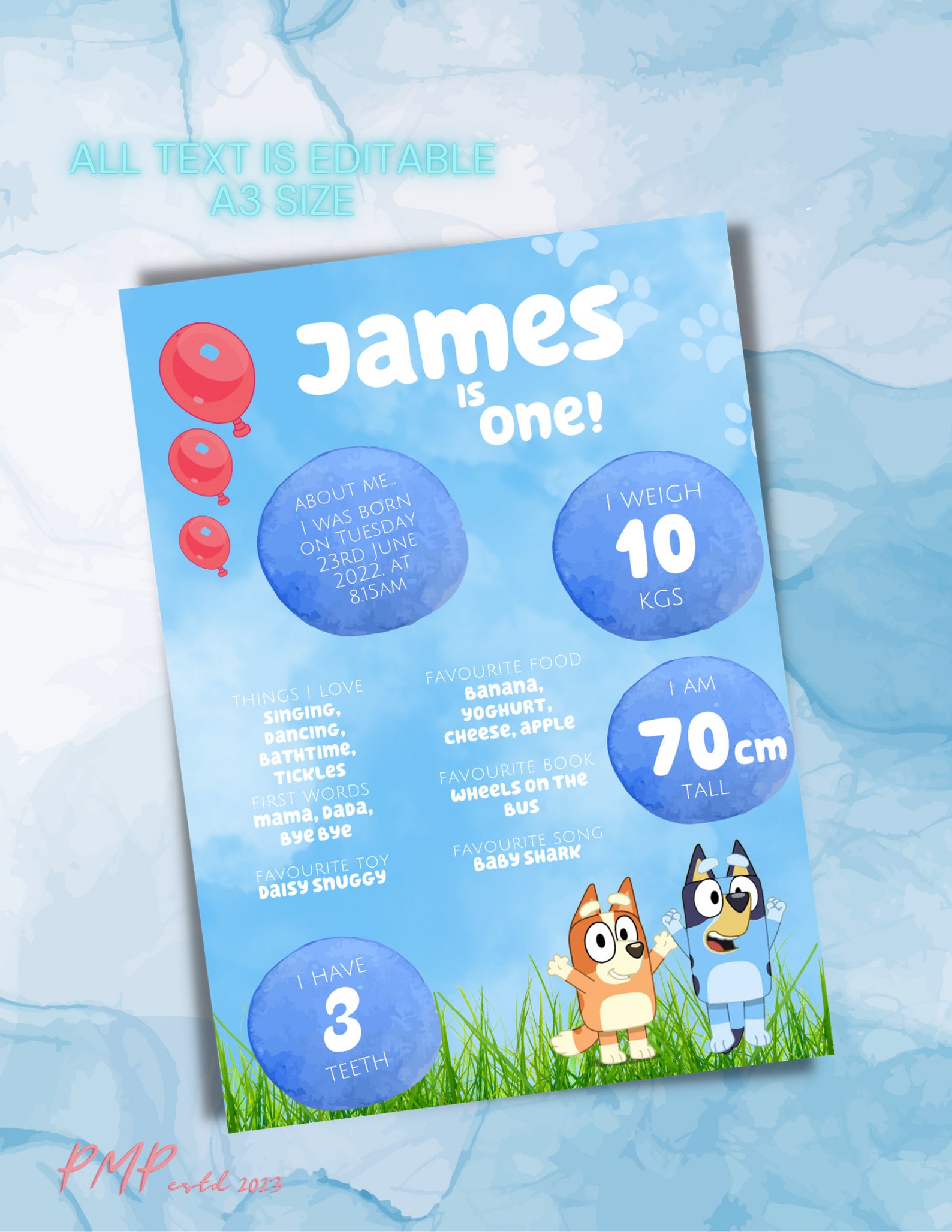 Bluey Milestone Poster Bluey Theme Editable Custom Bluey Etsy Australia