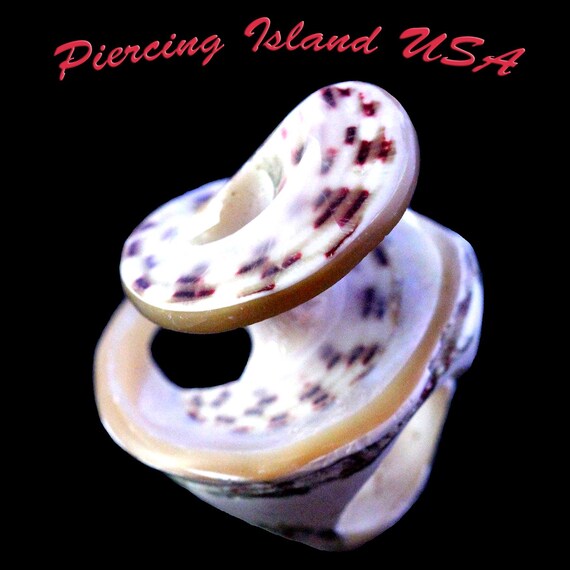 ARJ-56 shell ring, whole shell ring, hand made, p… - image 1