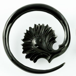 313 One pair of organic buffalo horn gauge earrings with spirals tapers piercings unique handmade