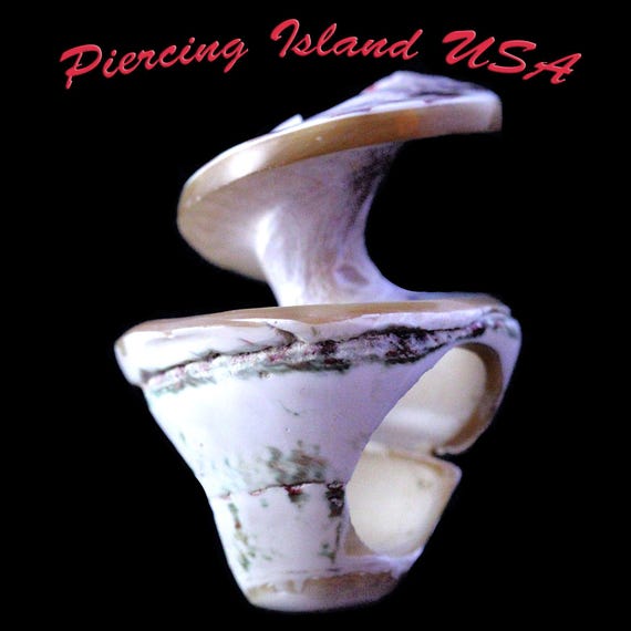 ARJ-56 shell ring, whole shell ring, hand made, p… - image 4