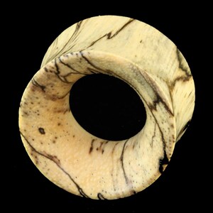 May include: A light-colored, circular ear gauge with a flared edge. The gauge has a natural, organic appearance with a cream-colored base and dark brown veining throughout. The center is a large, open circle. The gauge is set against a black background.