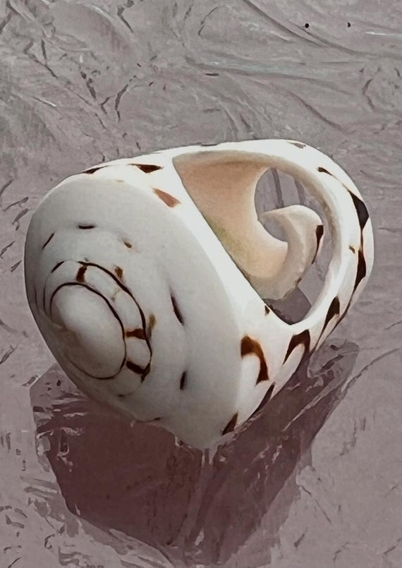 ARJ-30 shell ring, whole shell ring, hand made, p… - image 7