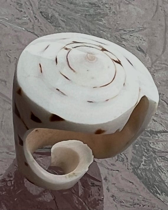 ARJ-30 shell ring, whole shell ring, hand made, p… - image 4