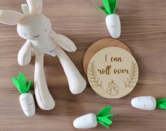 Newborn Development Milestone Disc Set, Baby Milestone Wooden Discs, Newborn Photo Props, Monthly Age Milestones, New Parent Gif