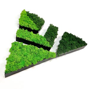 Letrero de pared de musgo personalizado, letrero con logotipo de musgo 3D para oficina, decoración de pared de musgo, letrero con letras de musgo, letrero metálico de musgo, letrero de recepción, letrero comercial