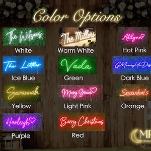 Puede incluir: Una exhibici&oacute;n de letreros de ne&oacute;n en varios colores, que muestran diferentes nombres y frases. Los letreros incluyen opciones como "The Wilsons" en blanco, "Adilynn" en rosa intenso y "Berry Christmas" en rojo. El fondo es una pared de madera r&uacute;stica.