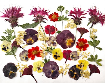 Edible flowers for cake decoration, Edible pressed flowers, Pressed flowers for cake decorations, Cupcakes, Mixed pressed flowers