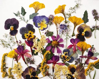 Edible Pressed Flowers: Cake & Cocktail Decoration, Resin Crafts